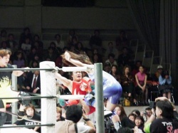 fight-jpn-29g19-p.jpg