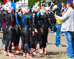 tri795.jpg