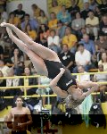 dive meet4.jpg