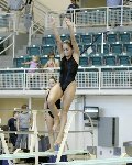 dive meet.jpg