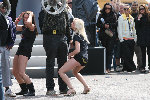grid girls go wild.jpg
