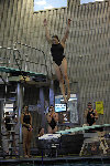 dive meet2a.jpg