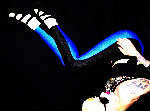 vintage80s blue blackleggings-L.jpg