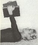 Suz100002a.jpg