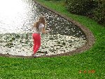 614754130.jpg