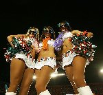 2135_12543227111.jpg