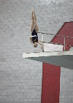dive meet3.jpg