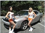 dodge challenger hootergirls.jpg
