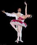balletbellevue09-nutcracker.jpg