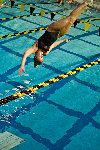 dive meet.jpg