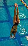 4110265197_f67d57d3fd_b.jpg