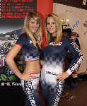 grid girls8.jpg