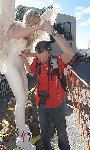 403182683_36d22457a8.jpg