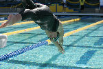 swim meet238.jpg