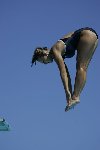 10103171_TSHWB-L.jpg