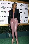 catsuit type dress2.jpg