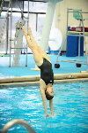 dive meet10.jpg