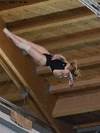 dive meet2b.jpg