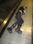 1308c-L.jpg