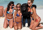 swim.beach scene.jpg