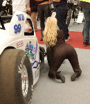grid girls NOT wearing lycra3.jpg