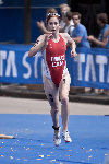 tri1538a.jpg