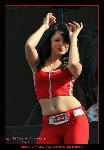 Bud Grls14.jpg