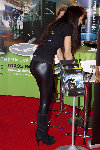 stevipedia.flickr3.jpg