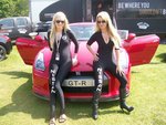 grid girls.cats.jpg