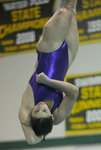 dive meet2.jpg