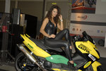 5550451806_4a5cdc14c3_b.motrbikegridgirl.jpg