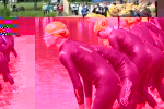tri-pre_swimstart2.jpg