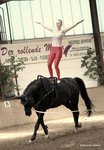 voltiperformer5.JPG