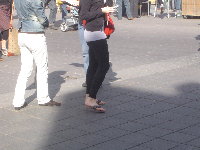 DSC02413.JPG