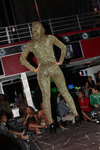 dress-type-cats1.jpg