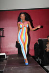 dress-type-cats4.jpg
