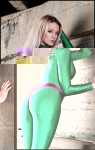4dd45e3b17f2a.cats.jpg