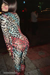 partygirl.cats.jpg