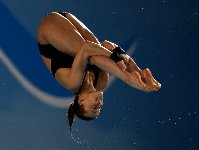 dive meet4.jpg