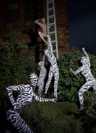zentai