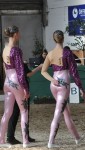 performers.cats4.jpg