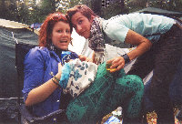 421-L.jpg