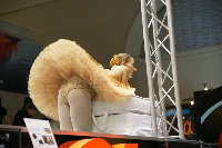 DSC07914.jpg