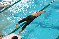 utah utes swim meet.jpg
