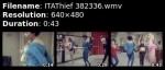 Galerie-ITAThief 382336.wmv-1.jpg