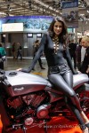 eicma2015