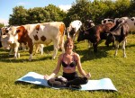talk about 'girwatching' except its the <br />cows doing it....LOL