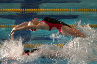 swim meet16.jpg