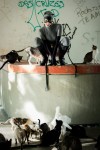 222catwoman_dc_comics_batman_arkham_knight__kitty.jpg