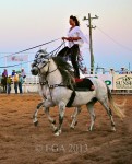The cowBOYS are definitely in<br />girlwatching mode as they check how<br />the cowGIRL performs